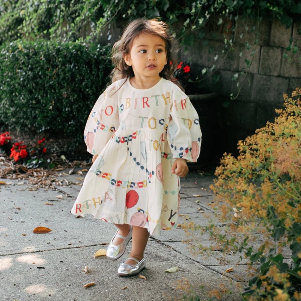 Pink Chicken / Birthday Garland Brooke Dress